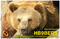 QSL-Karte HB9BERN.png